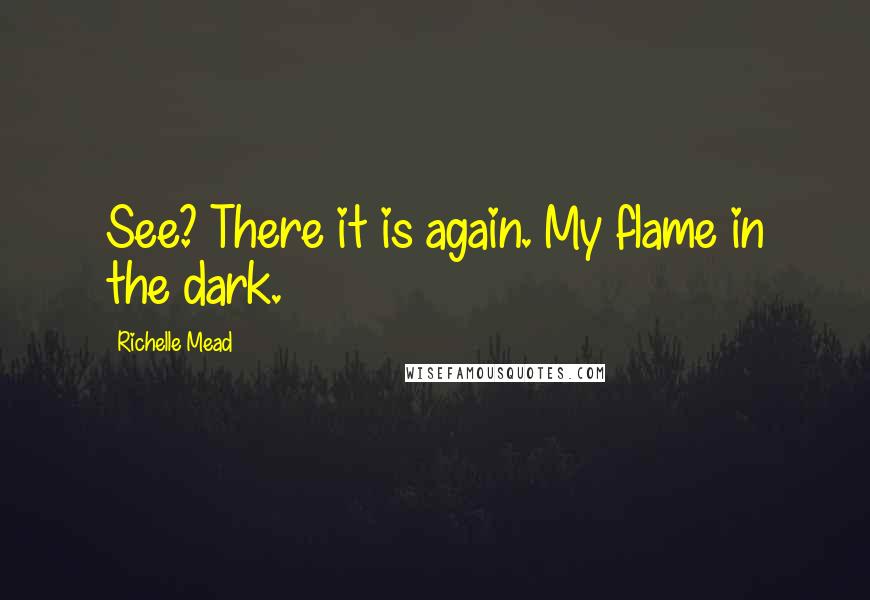 Richelle Mead Quotes: See? There it is again. My flame in the dark.