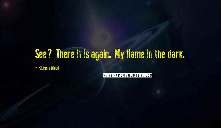 Richelle Mead Quotes: See? There it is again. My flame in the dark.