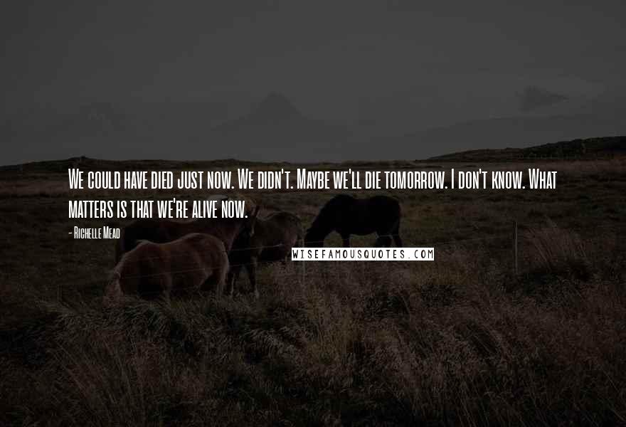 Richelle Mead Quotes: We could have died just now. We didn't. Maybe we'll die tomorrow. I don't know. What matters is that we're alive now.