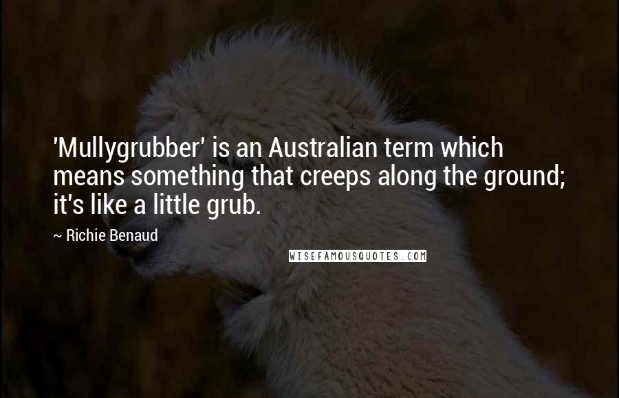 Richie Benaud Quotes: 'Mullygrubber' is an Australian term which means something that creeps along the ground; it's like a little grub.