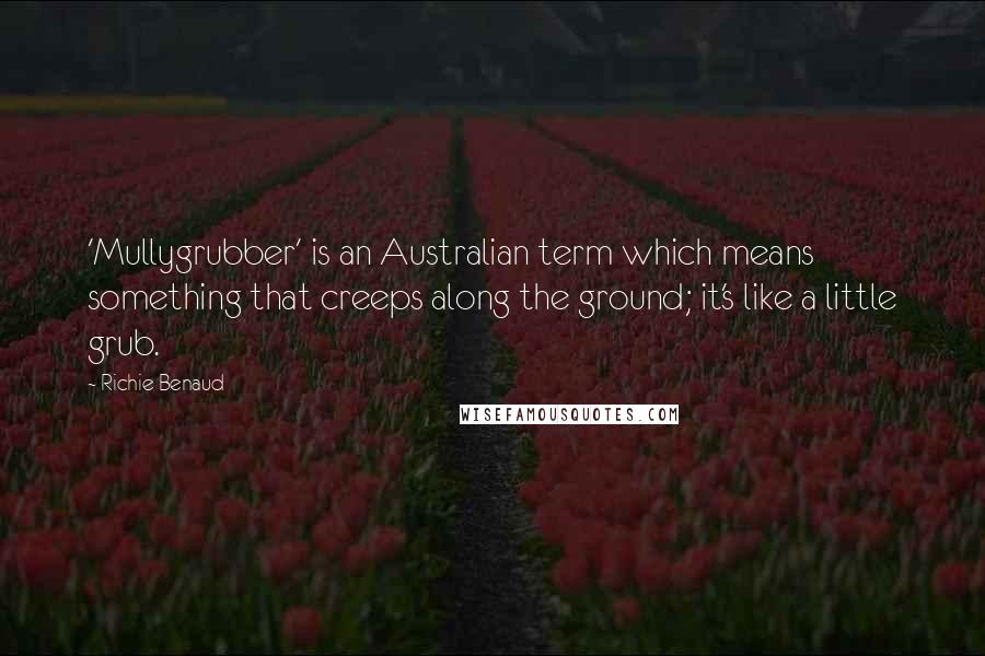 Richie Benaud Quotes: 'Mullygrubber' is an Australian term which means something that creeps along the ground; it's like a little grub.