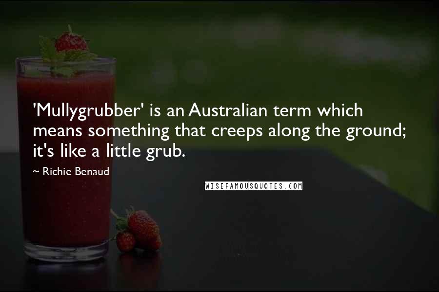 Richie Benaud Quotes: 'Mullygrubber' is an Australian term which means something that creeps along the ground; it's like a little grub.