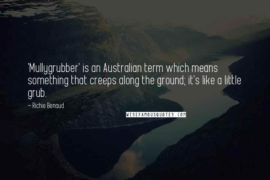 Richie Benaud Quotes: 'Mullygrubber' is an Australian term which means something that creeps along the ground; it's like a little grub.