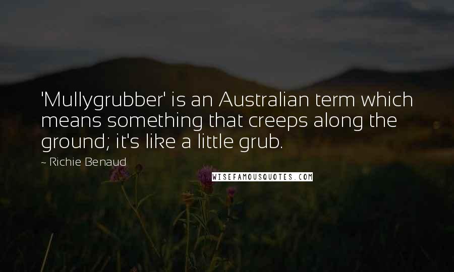 Richie Benaud Quotes: 'Mullygrubber' is an Australian term which means something that creeps along the ground; it's like a little grub.