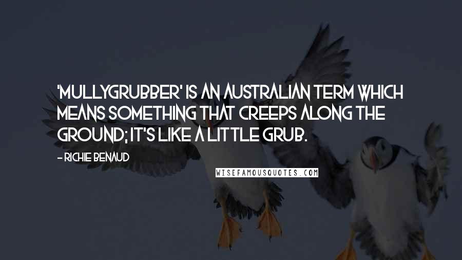 Richie Benaud Quotes: 'Mullygrubber' is an Australian term which means something that creeps along the ground; it's like a little grub.