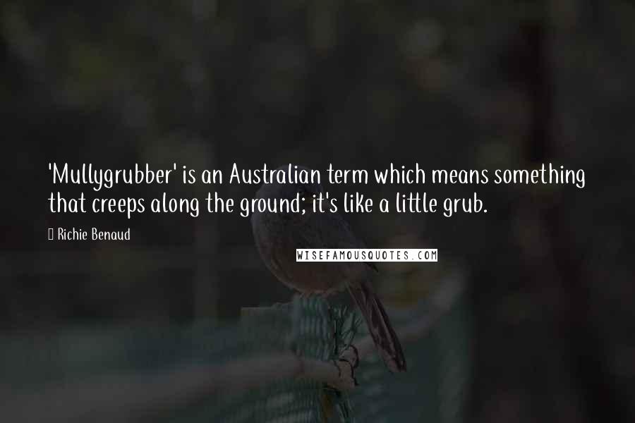 Richie Benaud Quotes: 'Mullygrubber' is an Australian term which means something that creeps along the ground; it's like a little grub.