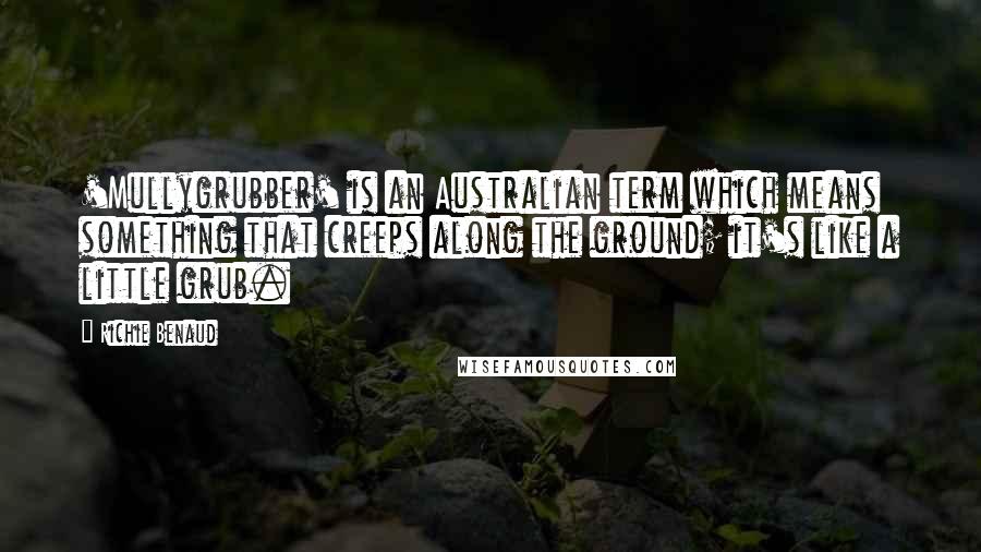 Richie Benaud Quotes: 'Mullygrubber' is an Australian term which means something that creeps along the ground; it's like a little grub.