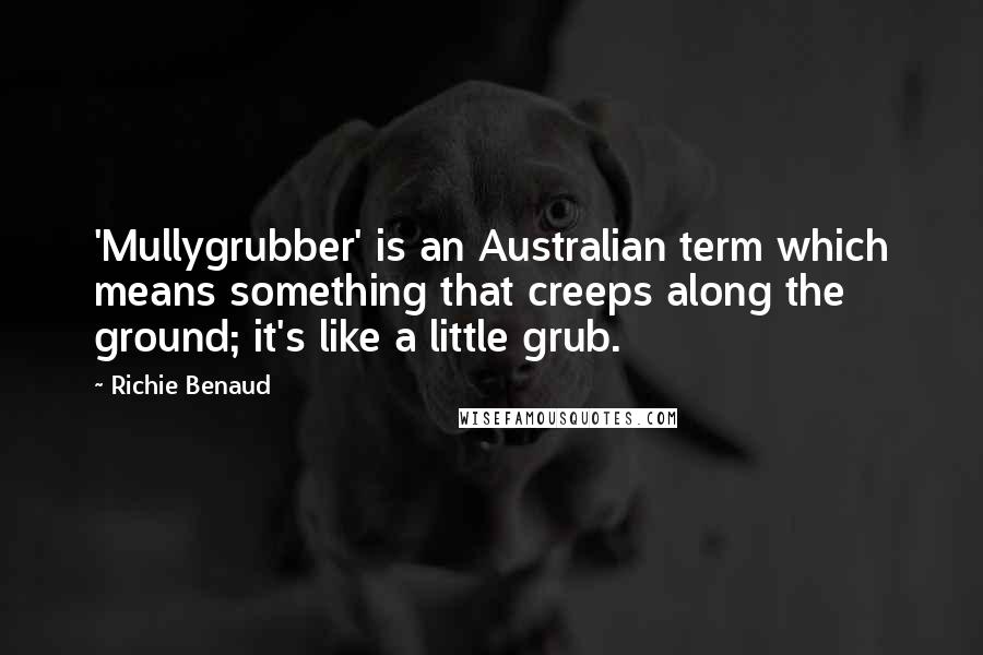 Richie Benaud Quotes: 'Mullygrubber' is an Australian term which means something that creeps along the ground; it's like a little grub.