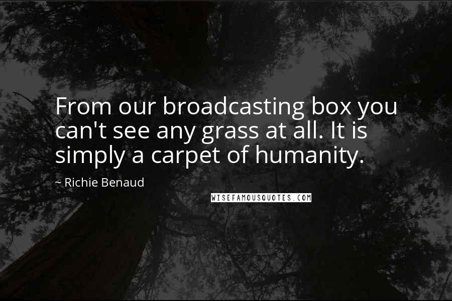 Richie Benaud Quotes: From our broadcasting box you can't see any grass at all. It is simply a carpet of humanity.