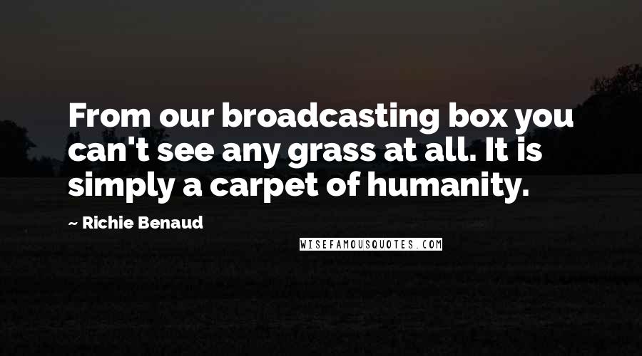 Richie Benaud Quotes: From our broadcasting box you can't see any grass at all. It is simply a carpet of humanity.