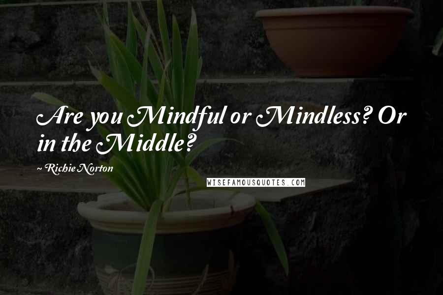 Richie Norton Quotes: Are you Mindful or Mindless? Or in the Middle?