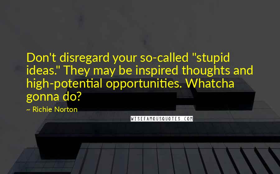 Richie Norton Quotes: Don't disregard your so-called "stupid ideas." They may be inspired thoughts and high-potential opportunities. Whatcha gonna do?