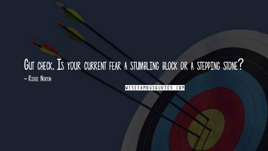 Richie Norton Quotes: Gut check. Is your current fear a stumbling block or a stepping stone?