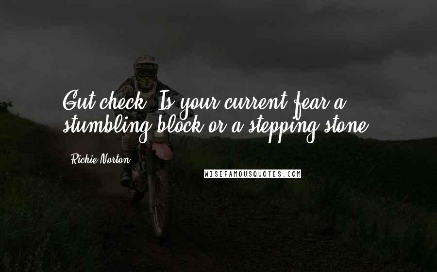 Richie Norton Quotes: Gut check. Is your current fear a stumbling block or a stepping stone?