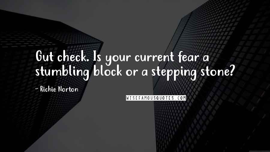 Richie Norton Quotes: Gut check. Is your current fear a stumbling block or a stepping stone?