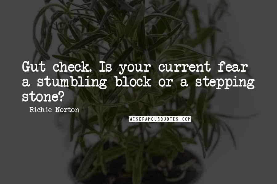 Richie Norton Quotes: Gut check. Is your current fear a stumbling block or a stepping stone?