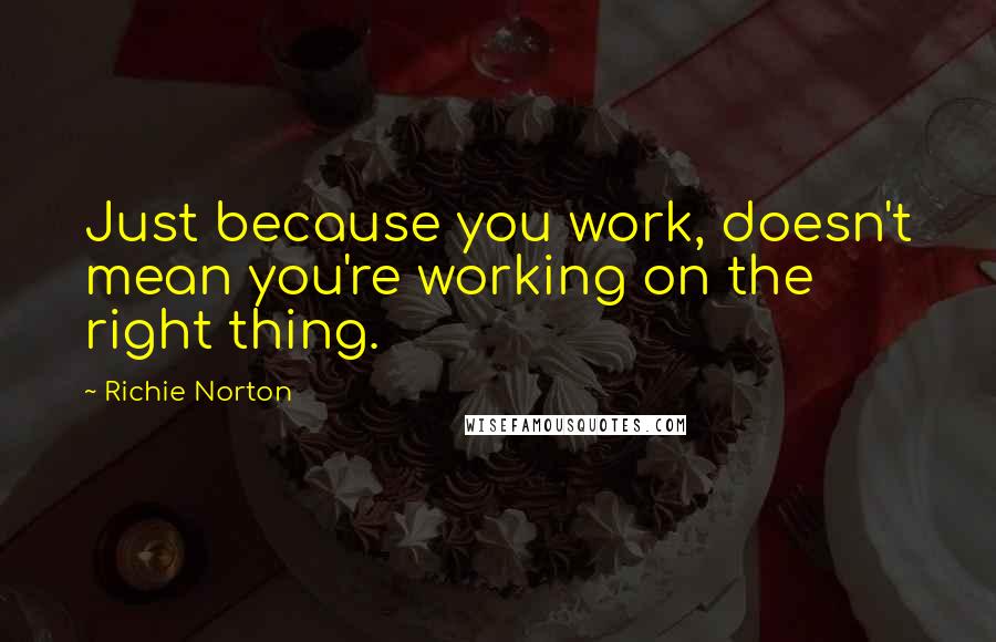 Richie Norton Quotes: Just because you work, doesn't mean you're working on the right thing.