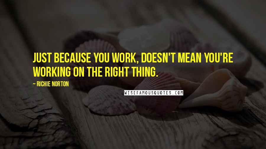 Richie Norton Quotes: Just because you work, doesn't mean you're working on the right thing.