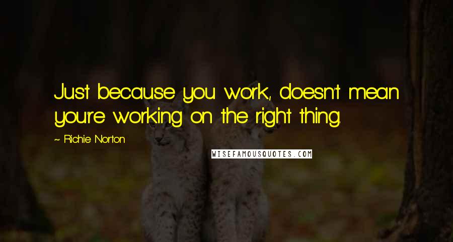Richie Norton Quotes: Just because you work, doesn't mean you're working on the right thing.