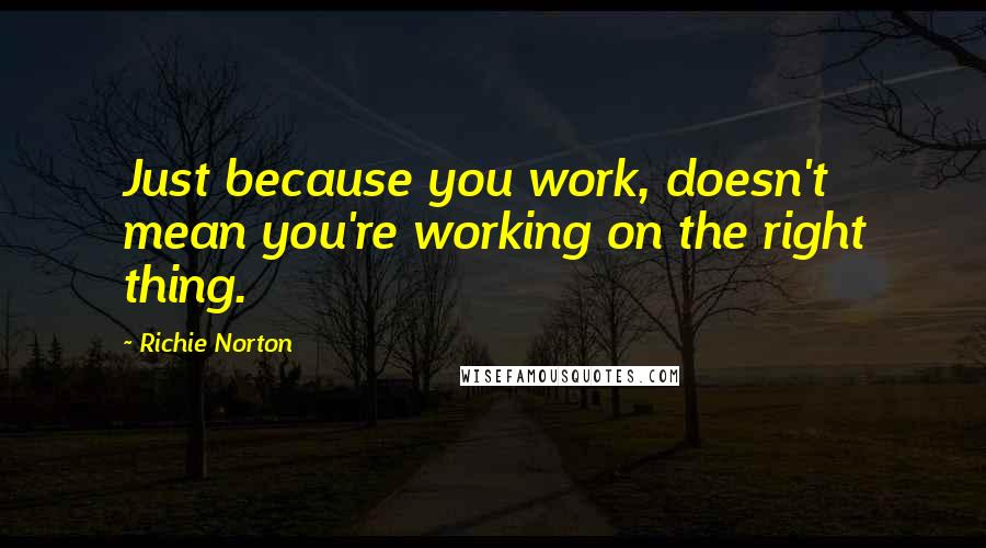 Richie Norton Quotes: Just because you work, doesn't mean you're working on the right thing.