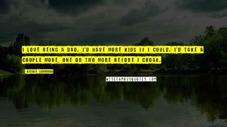 Richie Sambora Quotes: I love being a dad. I'd have more kids if I could. I'd take a couple more, one or two more before I croak.