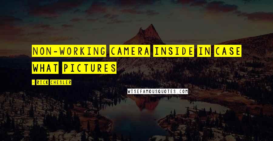 Rick Chesler Quotes: non-working camera inside in case what pictures