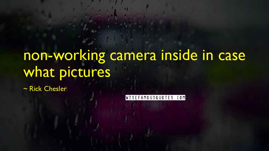 Rick Chesler Quotes: non-working camera inside in case what pictures