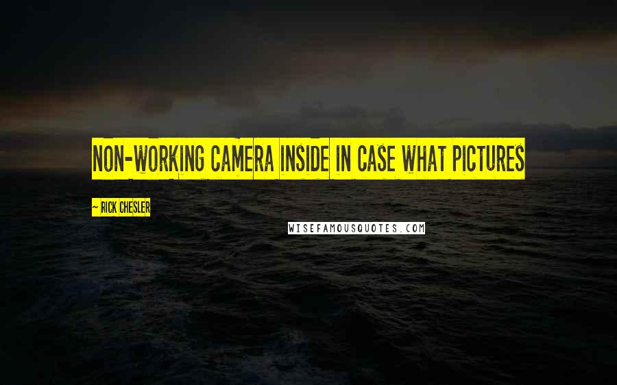Rick Chesler Quotes: non-working camera inside in case what pictures