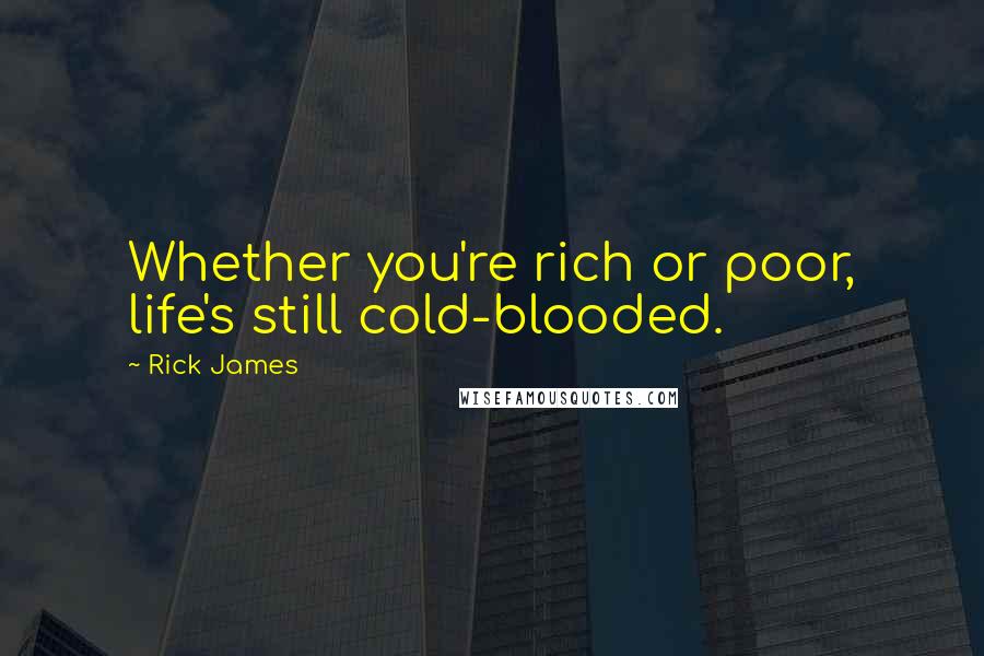 Rick James Quotes: Whether you're rich or poor, life's still cold-blooded.