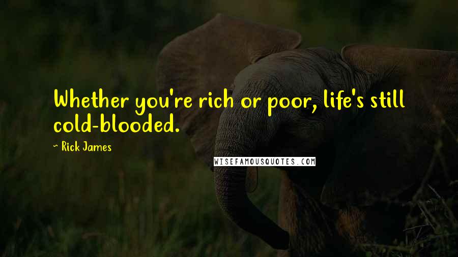 Rick James Quotes: Whether you're rich or poor, life's still cold-blooded.