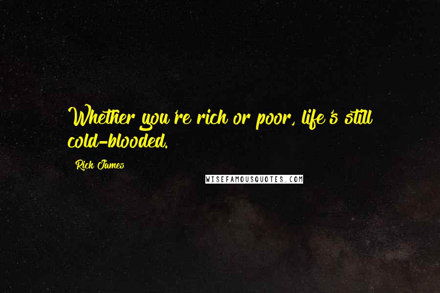 Rick James Quotes: Whether you're rich or poor, life's still cold-blooded.