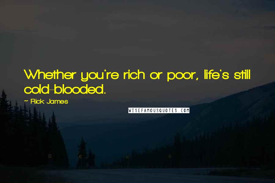 Rick James Quotes: Whether you're rich or poor, life's still cold-blooded.