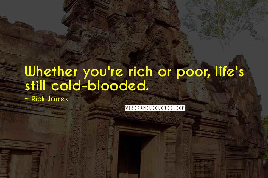 Rick James Quotes: Whether you're rich or poor, life's still cold-blooded.