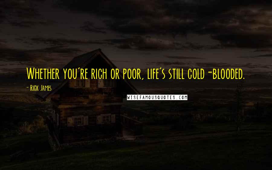 Rick James Quotes: Whether you're rich or poor, life's still cold-blooded.