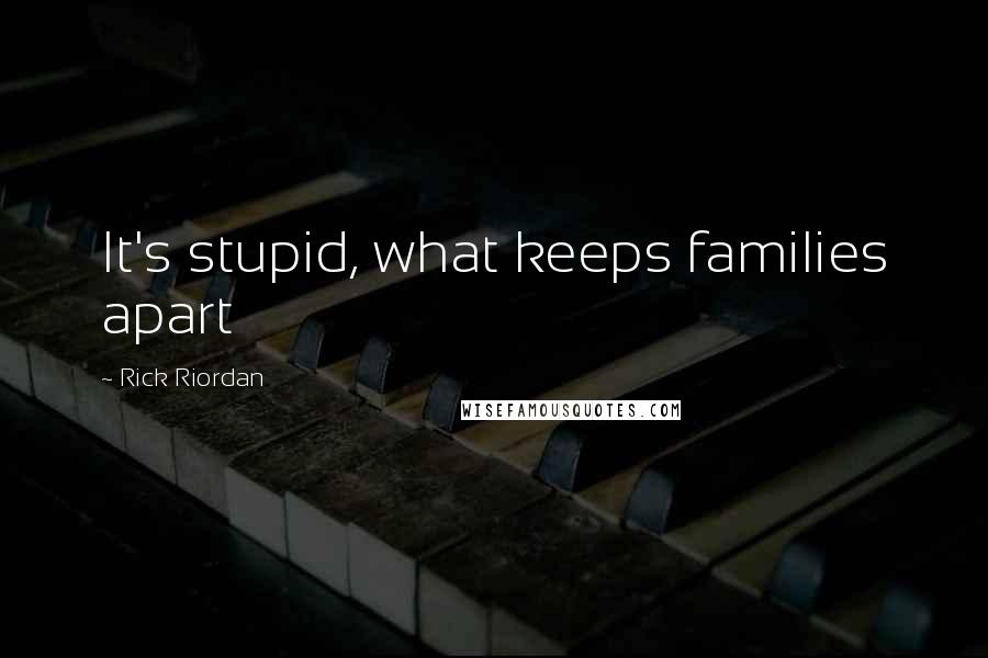 Rick Riordan Quotes: It's stupid, what keeps families apart