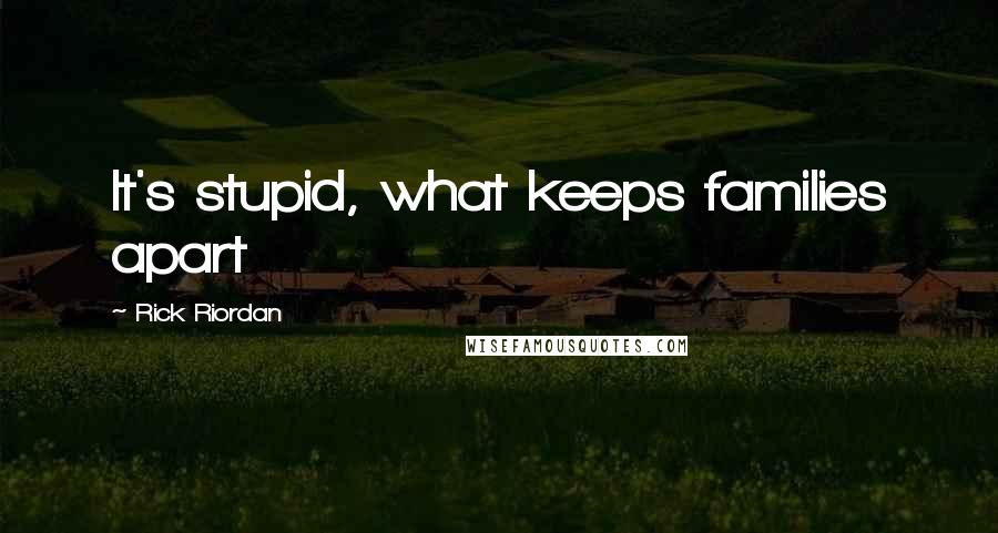 Rick Riordan Quotes: It's stupid, what keeps families apart