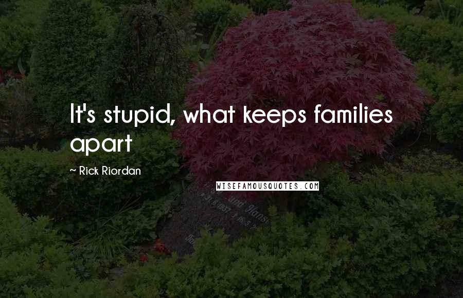 Rick Riordan Quotes: It's stupid, what keeps families apart