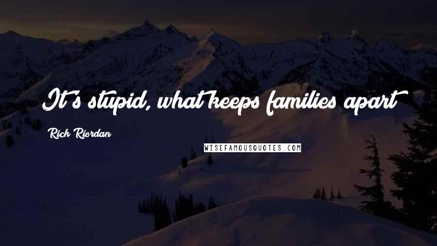 Rick Riordan Quotes: It's stupid, what keeps families apart