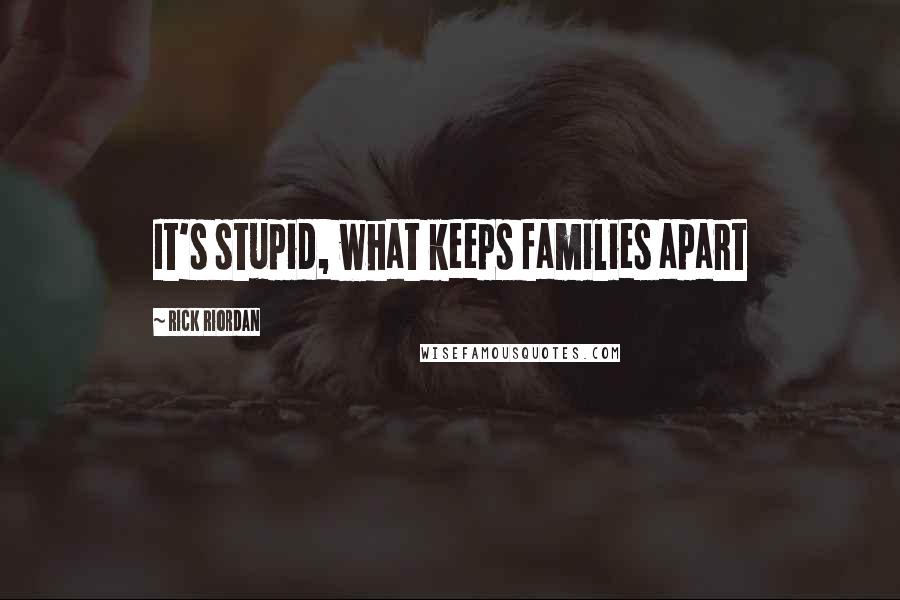 Rick Riordan Quotes: It's stupid, what keeps families apart