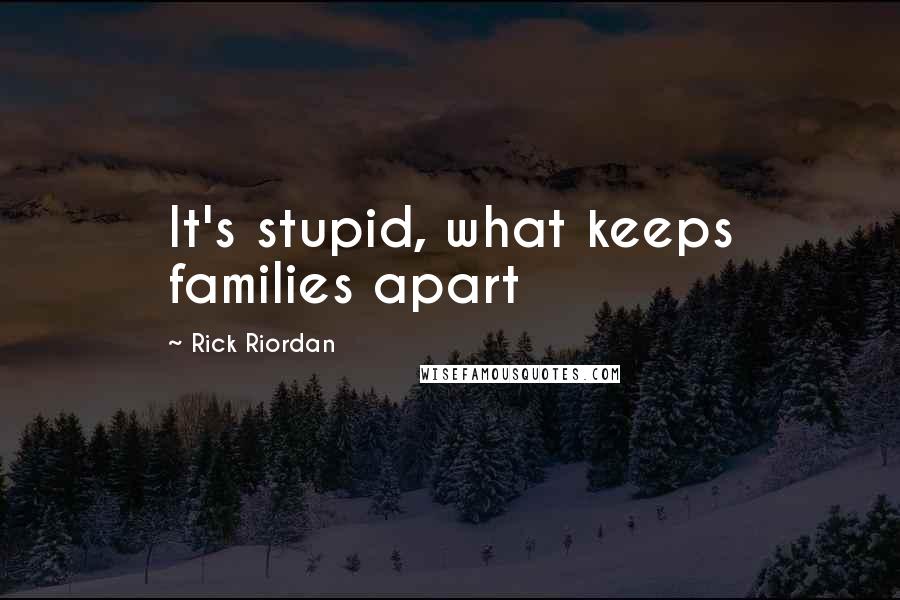 Rick Riordan Quotes: It's stupid, what keeps families apart