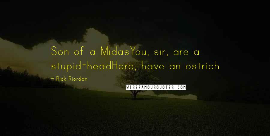 Rick Riordan Quotes: Son of a MidasYou, sir, are a stupid-headHere, have an ostrich