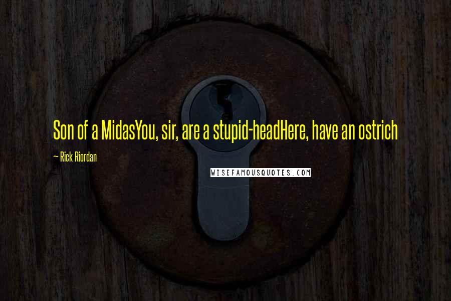 Rick Riordan Quotes: Son of a MidasYou, sir, are a stupid-headHere, have an ostrich