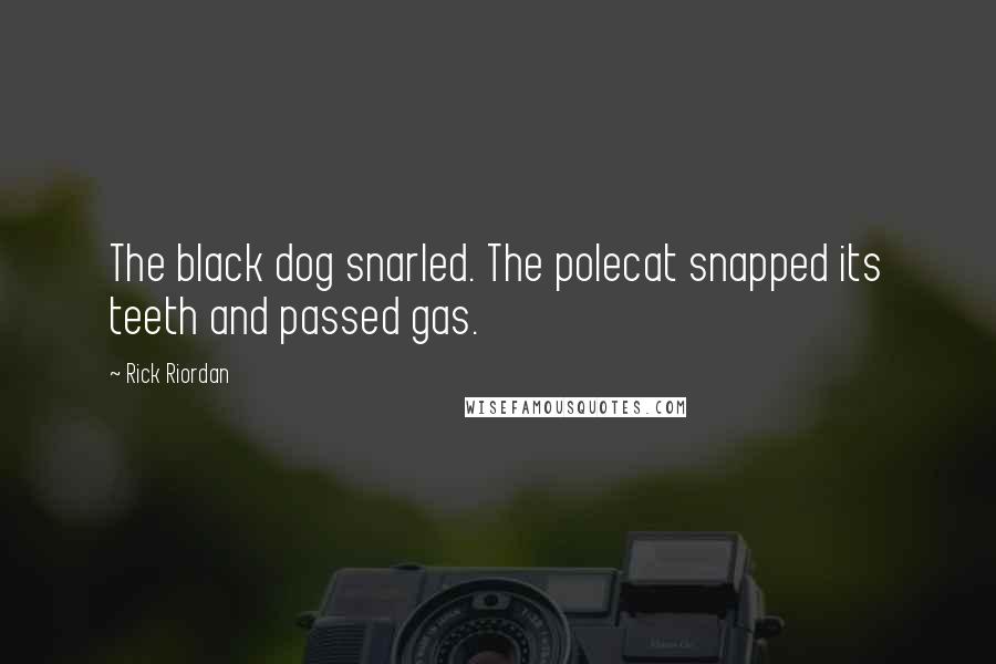 Rick Riordan Quotes: The black dog snarled. The polecat snapped its teeth and passed gas.