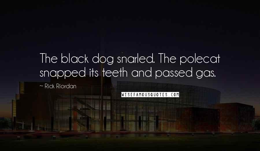 Rick Riordan Quotes: The black dog snarled. The polecat snapped its teeth and passed gas.