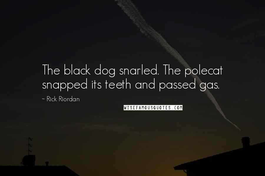 Rick Riordan Quotes: The black dog snarled. The polecat snapped its teeth and passed gas.