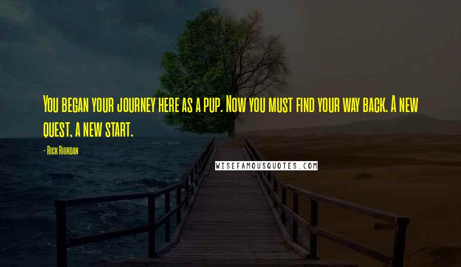 Rick Riordan Quotes: You began your journey here as a pup. Now you must find your way back. A new quest, a new start.