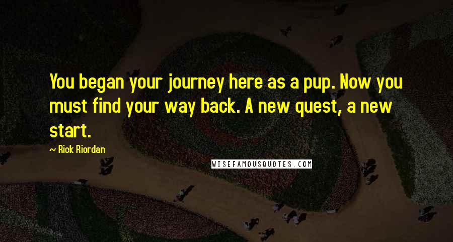 Rick Riordan Quotes: You began your journey here as a pup. Now you must find your way back. A new quest, a new start.