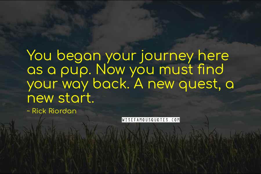 Rick Riordan Quotes: You began your journey here as a pup. Now you must find your way back. A new quest, a new start.