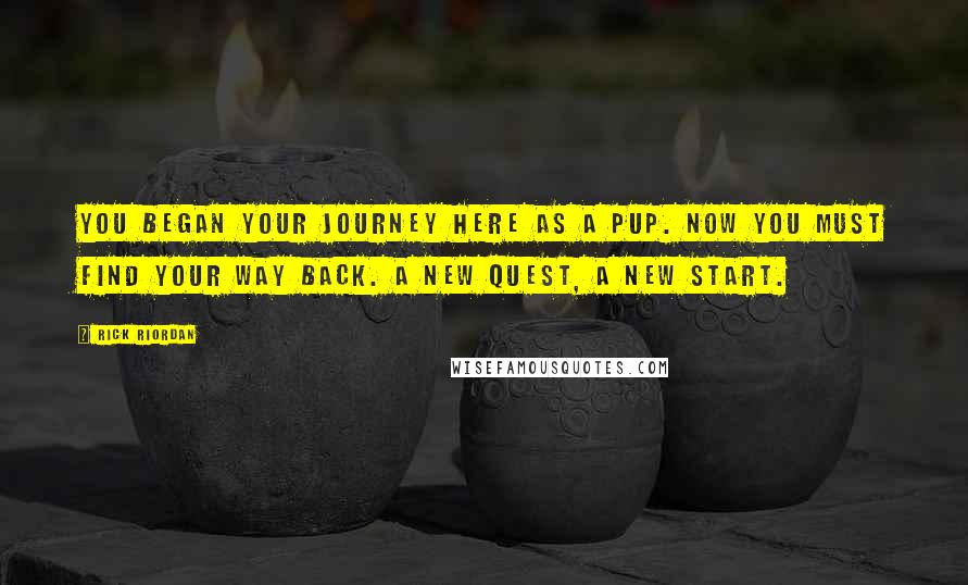 Rick Riordan Quotes: You began your journey here as a pup. Now you must find your way back. A new quest, a new start.