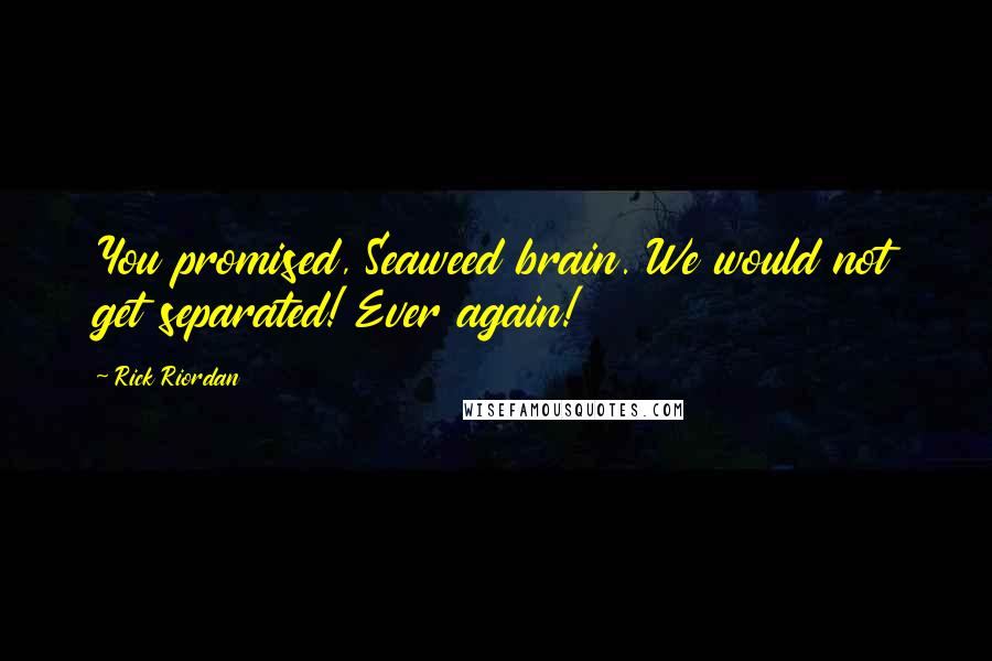Rick Riordan Quotes: You promised, Seaweed brain. We would not get separated! Ever again!